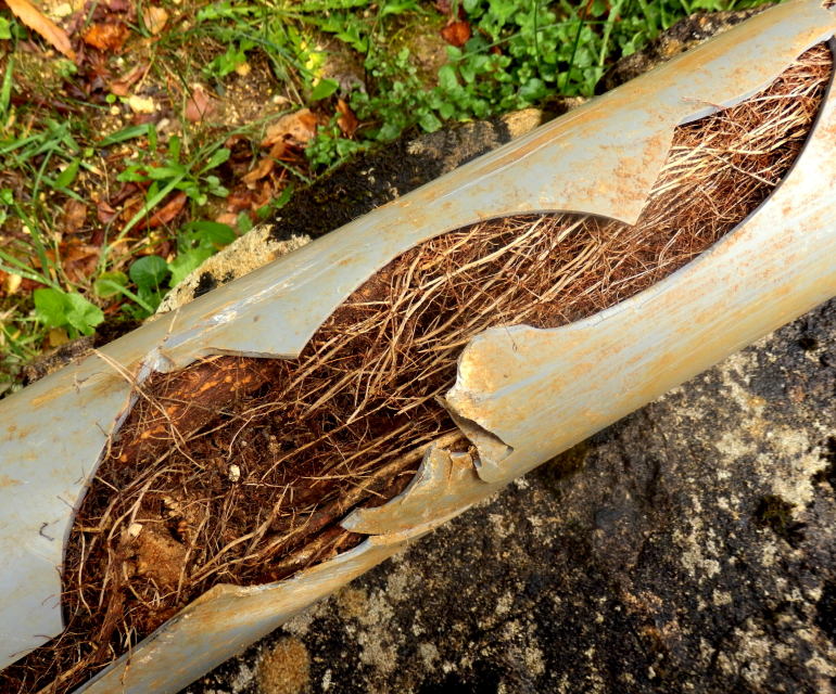 blocked-drain